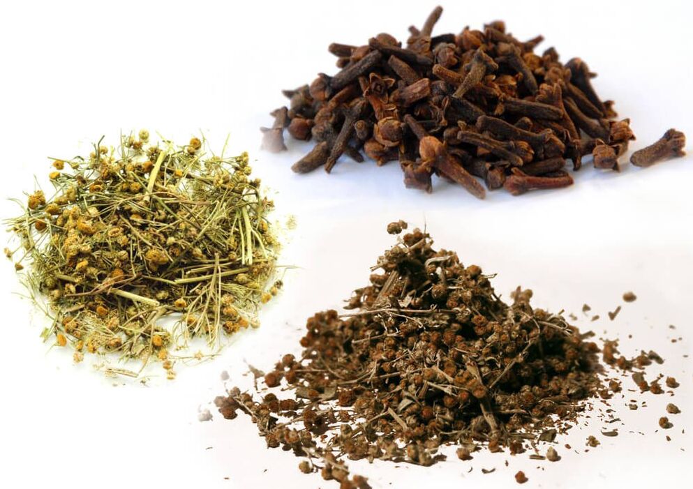 Wermut, Rainfarn und Nelken zur Entwurmung