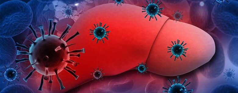 Das Vorhandensein von Parasiten im Körper verursacht Hepatitis.